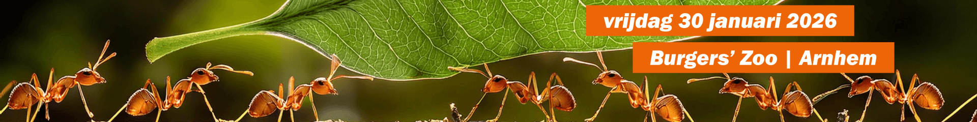 8e Nationale Docentencongres Biologie cover image