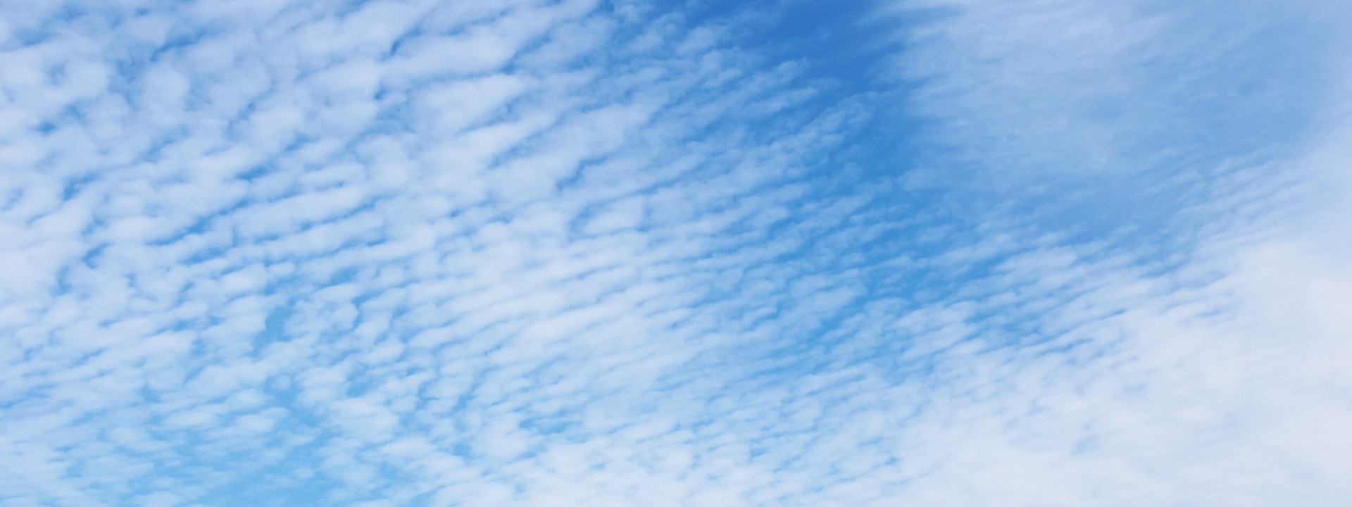 Masterclass Natuurkunde cover image